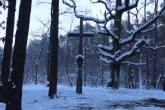 616785643_1224491139817492_5364400804720379729_n