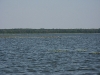 09_08_16_025