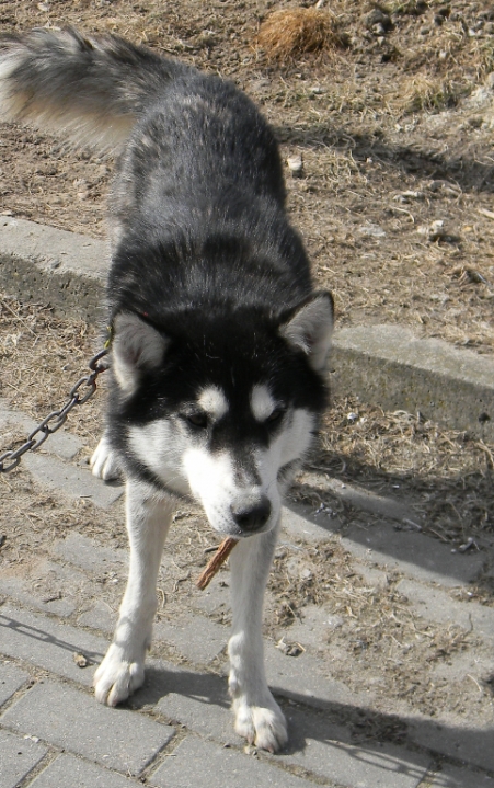 dscn1505