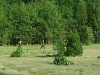 70_rocznica-_bitwy_pod_wytycznem018