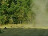 70_rocznica-_bitwy_pod_wytycznem025