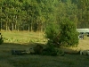 70_rocznica-_bitwy_pod_wytycznem031