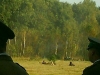 70_rocznica-_bitwy_pod_wytycznem032